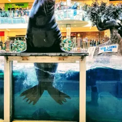 West Edmonton Mall - Edmonton