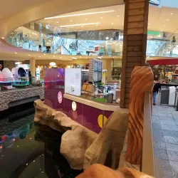 West Edmonton Mall - Edmonton