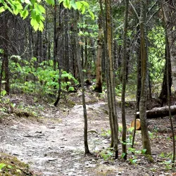 Madawaska River Trail - Edmundston