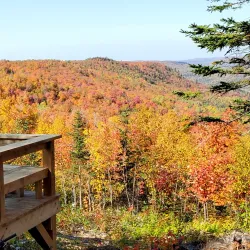 Madawaska River Trail - Edmundston