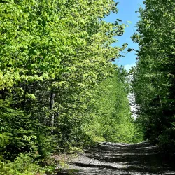 Madawaska River Trail - Edmundston