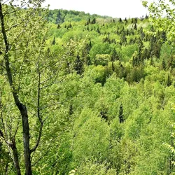 Madawaska River Trail - Edmundston