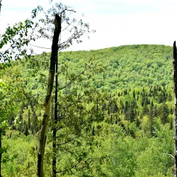Madawaska River Trail - Edmundston