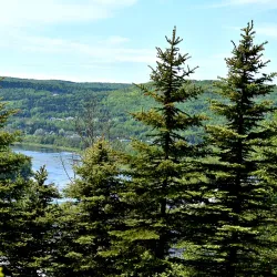 Madawaska River Trail - Edmundston