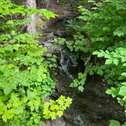 Parc des Chutes - Edmundston