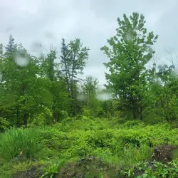 Parc des Chutes - Edmundston