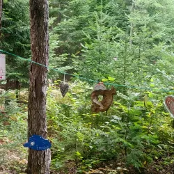 Parc des Chutes - Edmundston