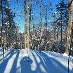 Parc des Chutes - Edmundston