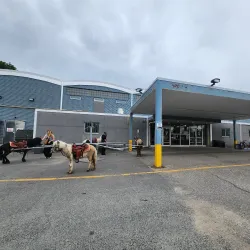 Elliot Lake Community Centre - Elliot Lake