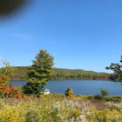 Elliot Lake Golf Club - Elliot Lake