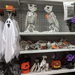 Estevan Farmers Market - Estevan