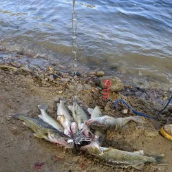 Estevan Marina and Reservoir - Estevan