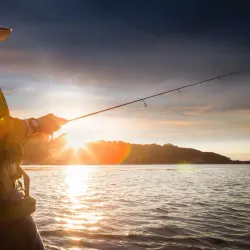 Fishing Spots on Rivière du Lièvre - Ferme Neuve