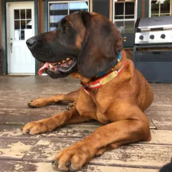 Fishing Spots on Rivière du Lièvre - Ferme Neuve