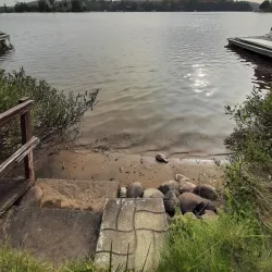 Lac des Sables - Ferme Neuve
