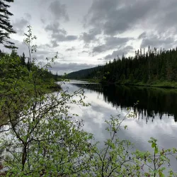 Laurentides Wildlife Reserve - Ferme Neuve