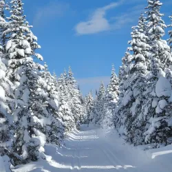 Laurentides Wildlife Reserve - Ferme Neuve