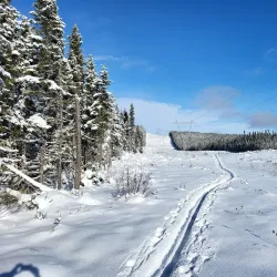Laurentides Wildlife Reserve - Ferme Neuve