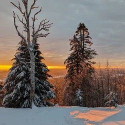 Parc des Chutes - Ferme Neuve