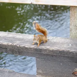 Parc régional de la Rivière-du-Moulin - Ferme Neuve