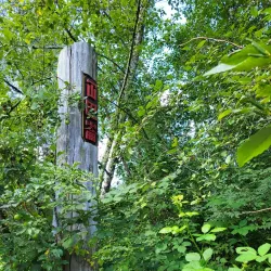 Coal Creek Historic Park - Fernie