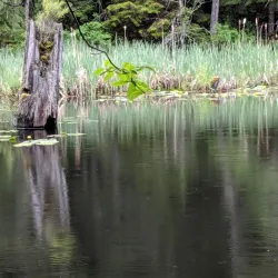 Coal Creek Historic Park - Fernie