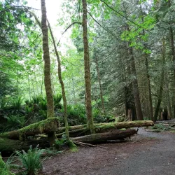 Coal Creek Historic Park - Fernie