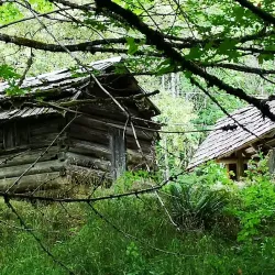 Coal Creek Historic Park - Fernie