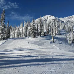 Fernie Alpine Resort - Fernie
