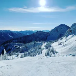 Fernie Alpine Resort - Fernie