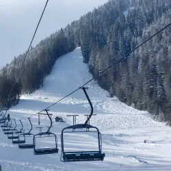 Fernie Alpine Resort - Fernie