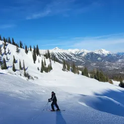 Fernie Alpine Resort - Fernie