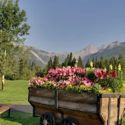 Fernie Golf Club - Fernie