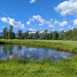 Fernie Golf Club - Fernie