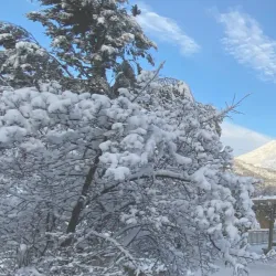 Fernie Heritage Library - Fernie