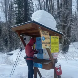 Fernie Nordic Society Trails - Fernie