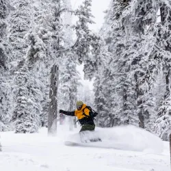 Island Lake Lodge - Fernie