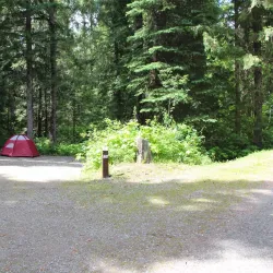 Mount Fernie Provincial Park - Fernie