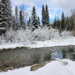 Mount Fernie Provincial Park - Fernie