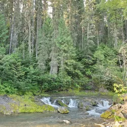 Mount Fernie Provincial Park - Fernie