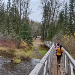 Mount Fernie Provincial Park - Fernie
