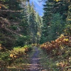 Mount Fernie Provincial Park - Fernie