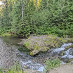 Mount Fernie Provincial Park - Fernie