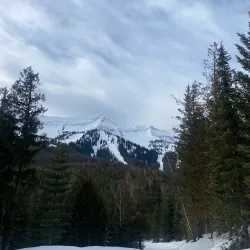 Mount Fernie Provincial Park - Fernie