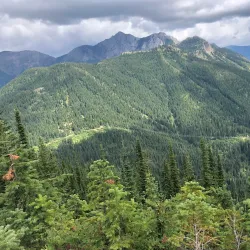Mount Fernie Provincial Park - Fernie