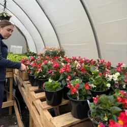 Flin Flon Community Greenhouse - Flin Flon