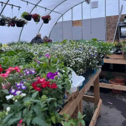 Flin Flon Community Greenhouse - Flin Flon
