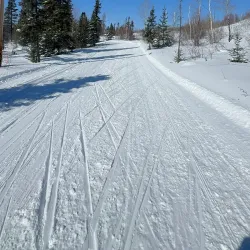 Flin Flon Nordic Ski Club - Flin Flon