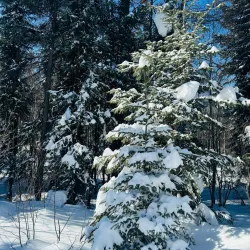 Flin Flon Nordic Ski Club - Flin Flon