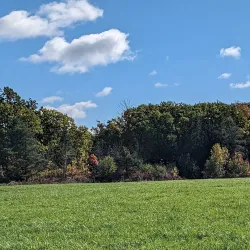 Beamer Memorial Conservation Area - Fonthill
